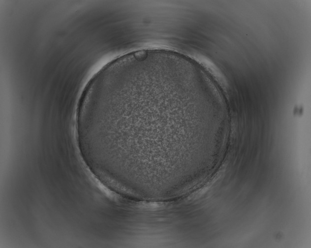 X0000094441286200711211448