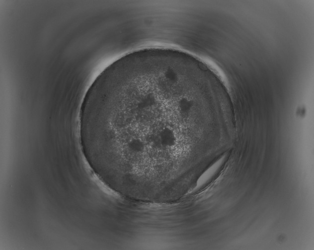 X0000094441287200711211448