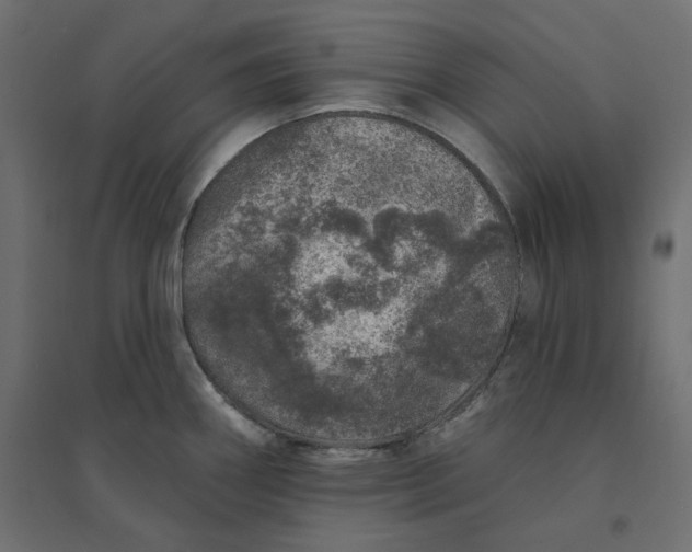 X0000094441290200711211448