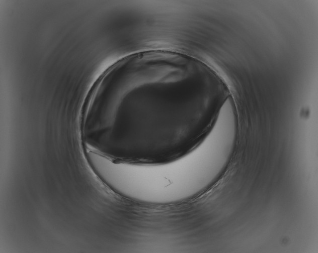 X0000094441291200711211448