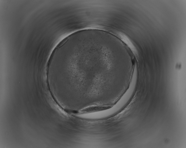 X0000094441292200711211448