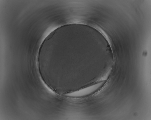 X0000094441293200711211447