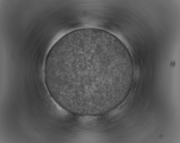 X0000094441294200711211447