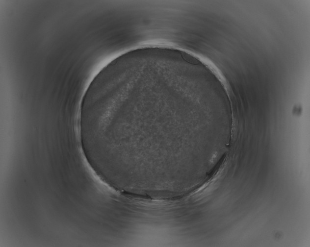 X0000094441295200711211447