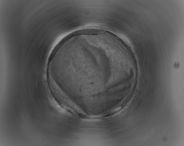 X0000094441296200711211447