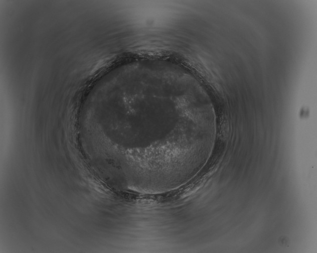 X0000094441297200711211447