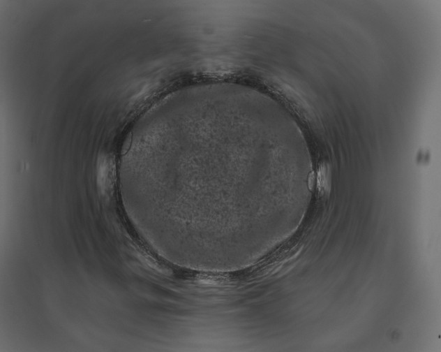 X0000094441299200711211447
