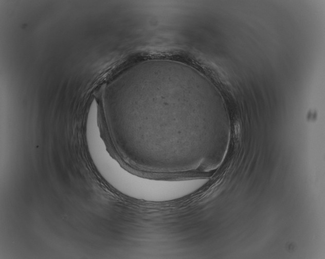 X0000094441300200711211447
