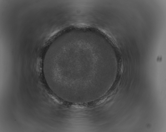 X0000094441301200711211447