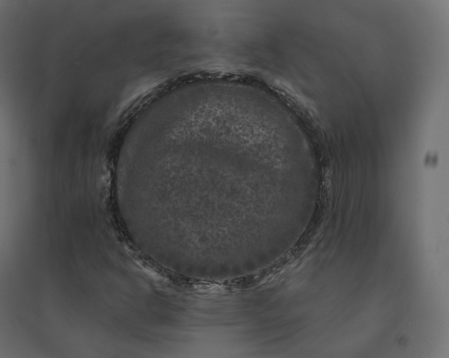 X0000094441302200711211447