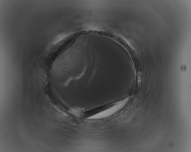 X0000094441303200711211447