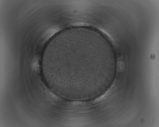 X0000094441305200711211447