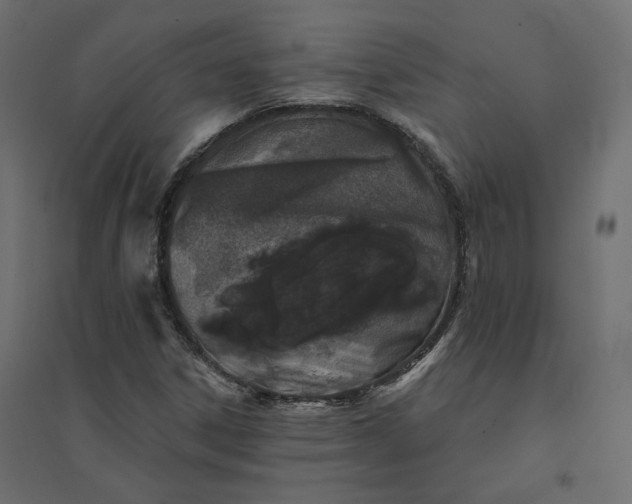 X0000094441306200711211447