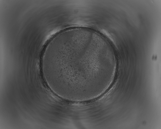 X0000094441307200711211447