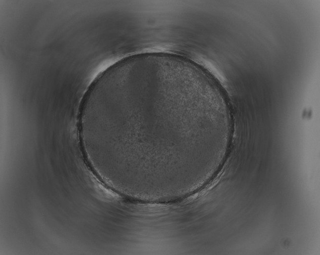 X0000094441308200711211447