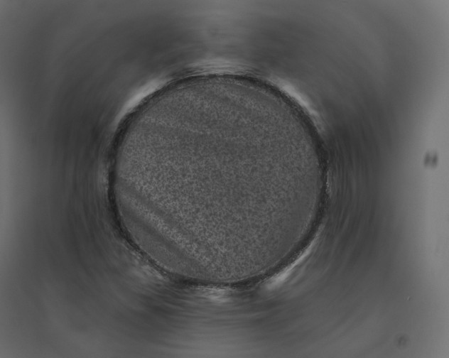 X0000094441309200711211447