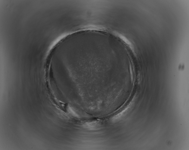 X0000094441310200711211447