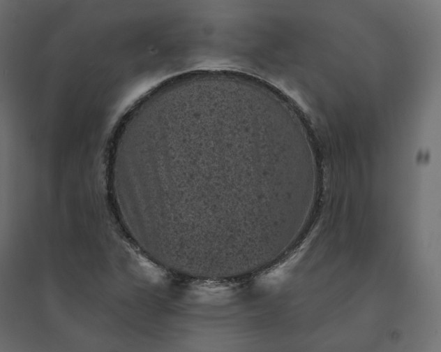 X0000094441311200711211447