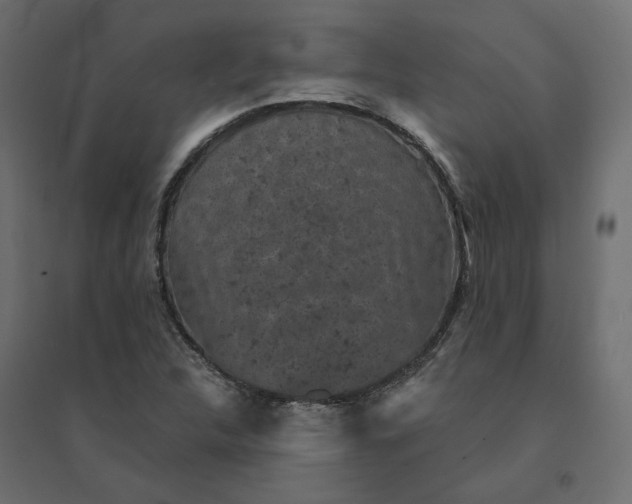 X0000094441312200711211447
