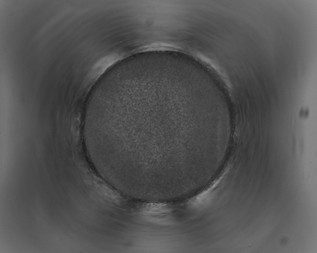 X0000094441313200711211447