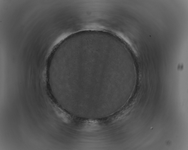 X0000094441315200711211447