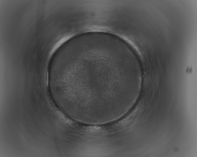 X0000094441317200711211447