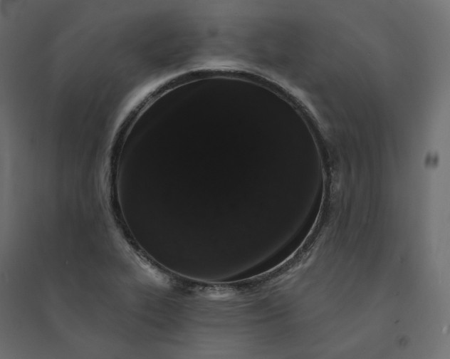 X0000094441319200711211447