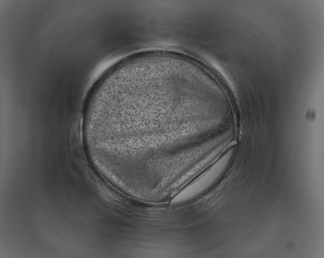 X0000094441320200711211447
