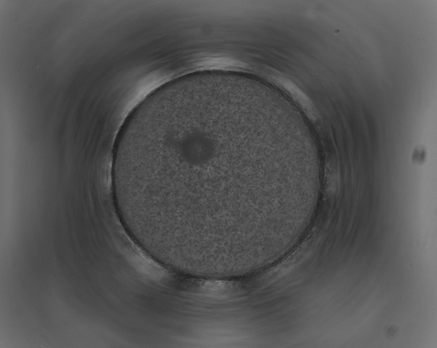 X0000094441322200711211447