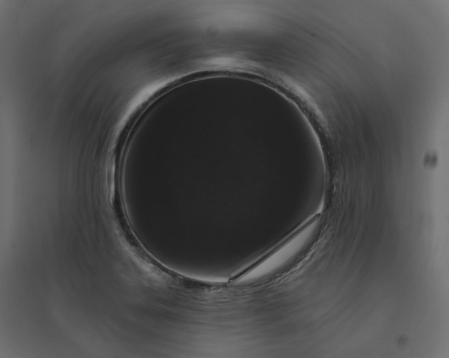 X0000094441323200711211447