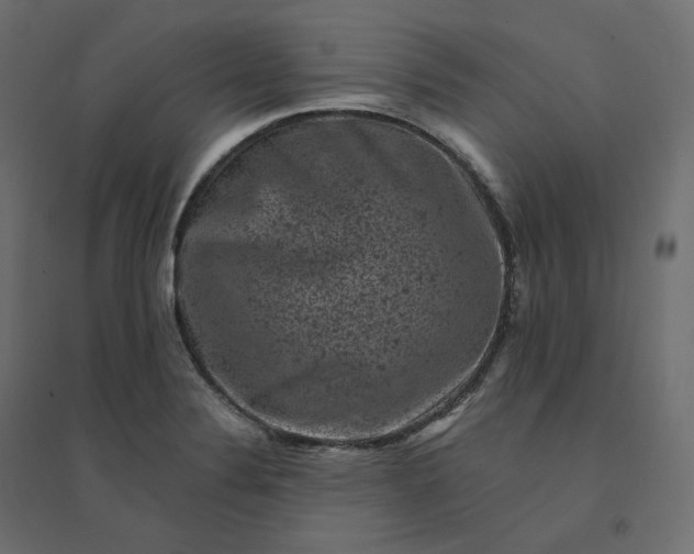 X0000094441324200711211447