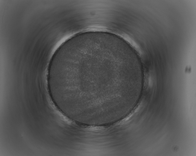 X0000094441325200711211447