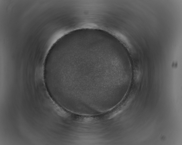 X0000094441326200711211447