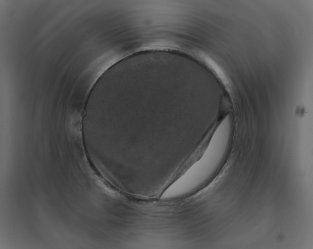 X0000094441329200711211447