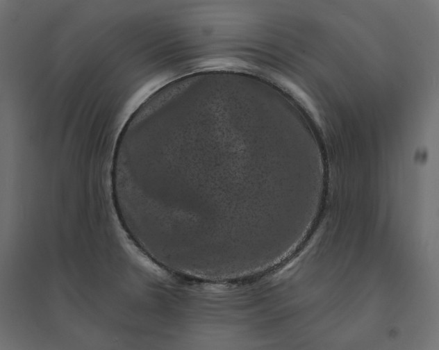 X0000094441330200711211447