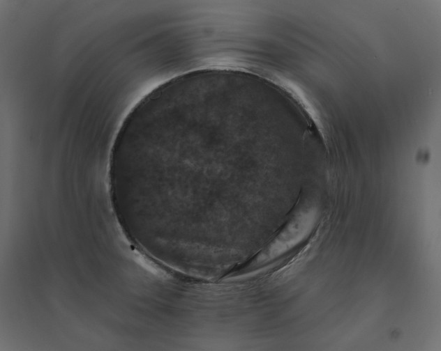 X0000094441331200711211447