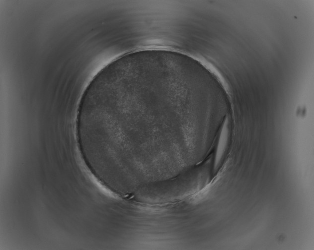 X0000094441333200711211447