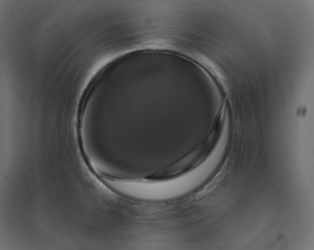 X0000094441334200711211447