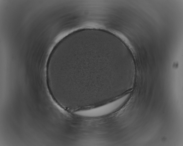 X0000094441335200711211447
