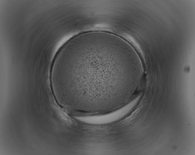 X0000094441336200711211447