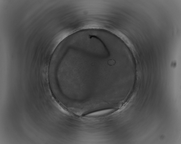 X0000094441337200711211447