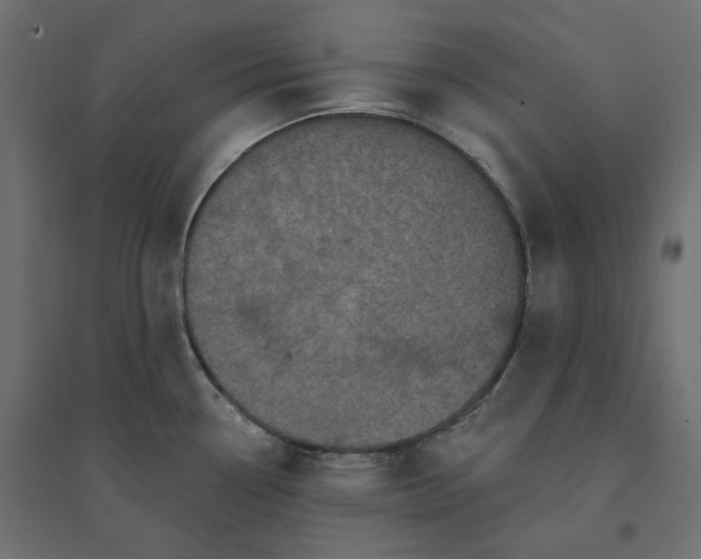 X0000094441338200711211447