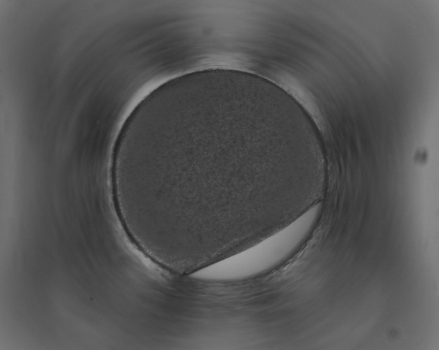 X0000094441339200711211447