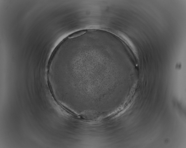 X0000094441340200711211447