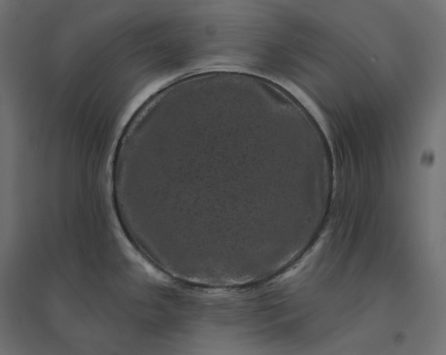 X0000094441341200711211447