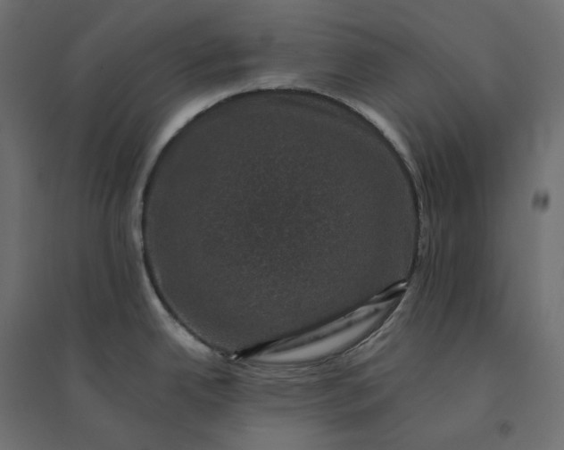 X0000094441342200711211447