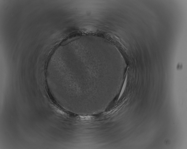 X0000094441345200711211447