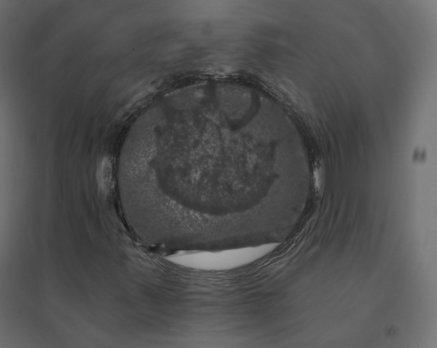 X0000094441347200711211447