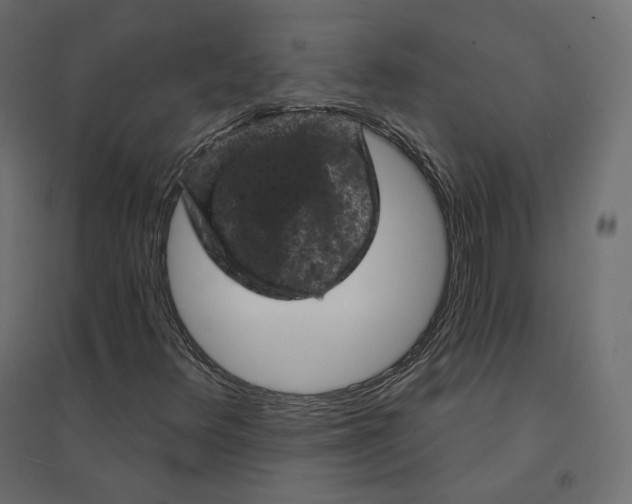 X0000094441348200711211447
