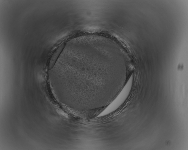 X0000094441349200711211447